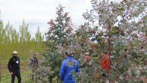 Biomass Open Day - 14 April 2026