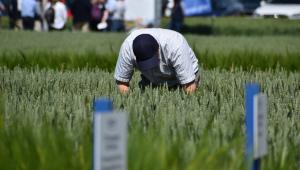 Central (Cambridge) Open Day