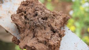 A spadeful of soil