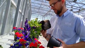 Ben Tea assesing plants in a glasshouse