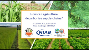  How can agriculture decarbonise the supply chain?