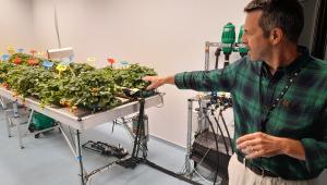 Niab staff member explaining work in a growth room