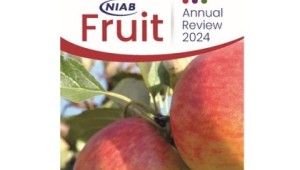NIAB Fruit Annual Rewview2024