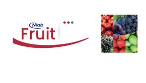 Niab Fruit newsletter