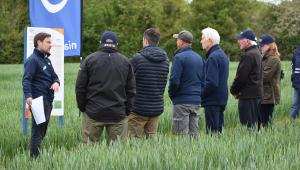 Saxmundham Open Day 2025