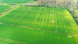Saxmundham experimental trials site, Suffolk