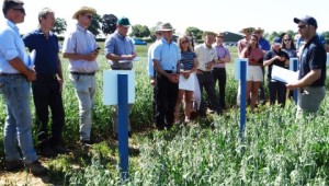 Sutton Scotney Open Day