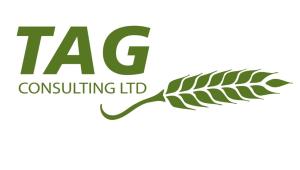 TAG Consulting