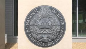 The Niab crest