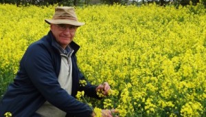 Colin Peters in an oil seed rape field