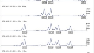 DNA Fingerprinting