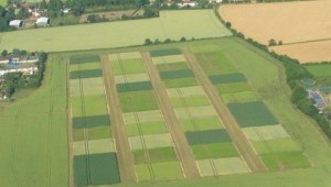 Aerial shot of the STAR site