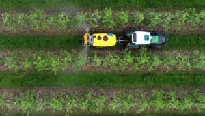 Aerial shot of a tractor spraying in orchard