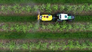Aerial shot of a tractor spraying in orchard