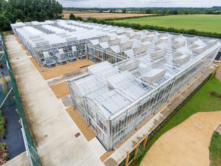 The MacLeod Complex glasshouse at NIAB's Park Farm, Histon near Cambridge