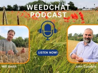 Weedchat podcast - NIAB staff in a field