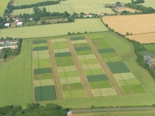 Aerial shot of the STAR site