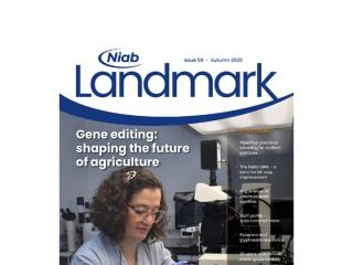 Niab Landmark Issue 59