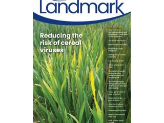 Niab Landmark: Issue 60 (Spring 2026)