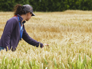 Crop inspector training