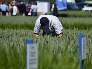 Central (Cambridge) Open Day