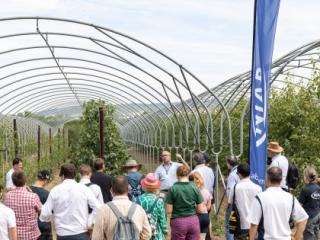 Visitors to Niab's Plum Demonstration Centre at Fruit Focus 2022