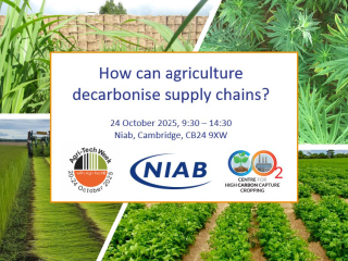  How can agriculture decarbonise the supply chain?