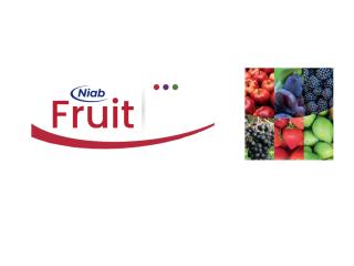 Niab Fruit newsletter