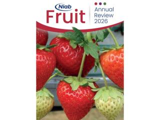 Niab Fruit Annual Review
