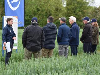 Saxmundham Open Day 2025