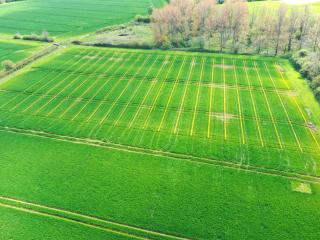 Saxmundham experimental trials site, Suffolk