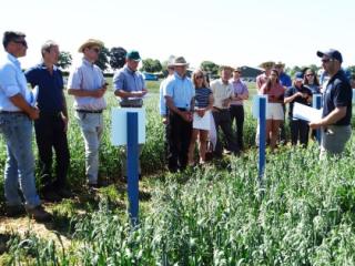 Sutton Scotney Open Day