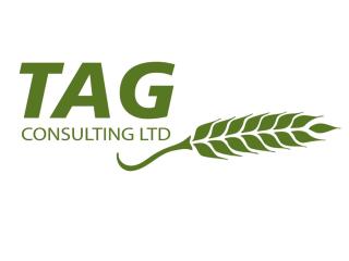 TAG Consulting