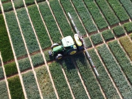 Tractor driving through wheat variety Recommended List trials at Morley, Norfolk