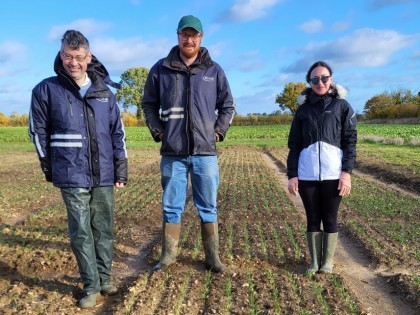 Nathan Morris, Jack Poulden and Eda Knight standing in wheat trials