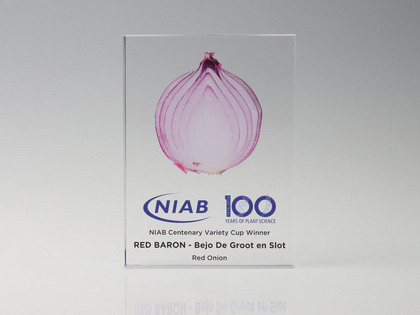 Trophy created to recognise the red onion variety red baron as NIAB Centenary Variety Cup winner