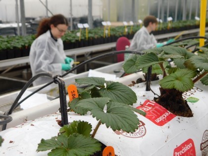 Students at NIAB EMR