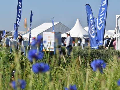 NIAB stand at Cereals 2023 with cornflowers at the front