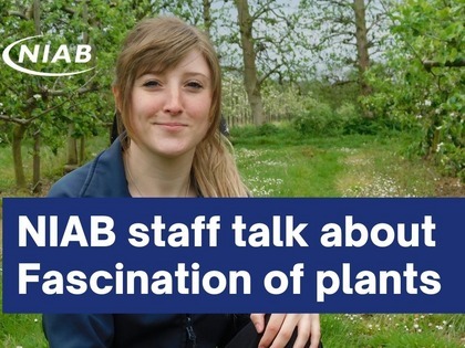 NIAB Staff Member Zoe Clarke and Fascination of Plants Day text