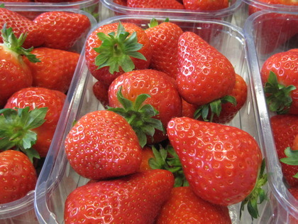 Malling Centenary strawberries