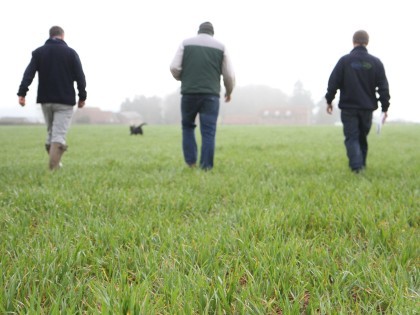 Agronomists walking through a field