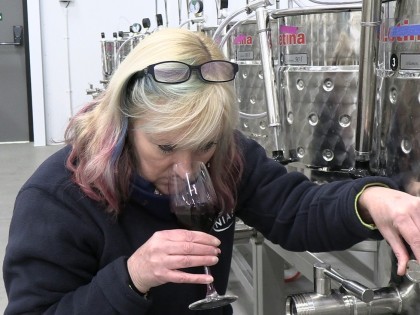 Dr Belinda Kemp testing wine in the Wine Innovation Centre at East Malling