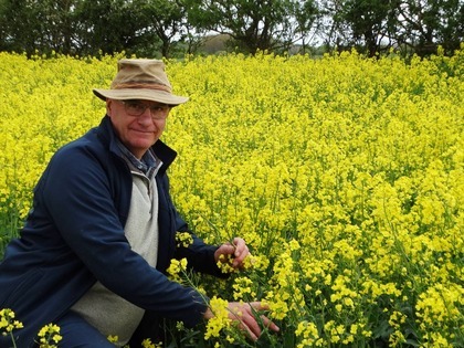 Colin Peters in an oil seed rape field