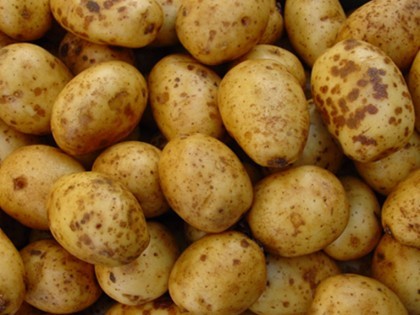 Potataoes