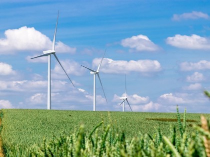 Wind turbines in a field of wheat