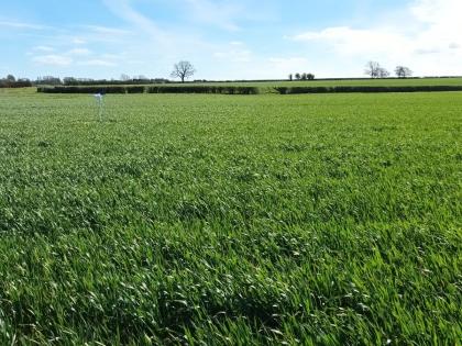 AHDB Strategic Farm Midlands