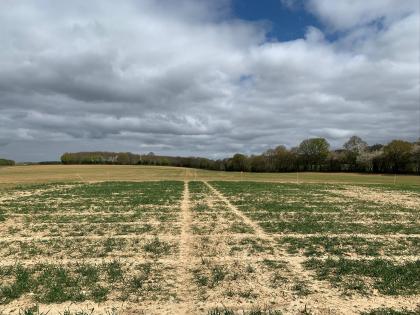 Dry field in Kent
