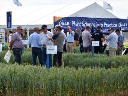 Visitors to the Niab stand at Cereals 2025