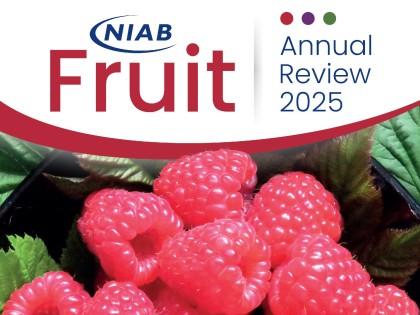 Niab Fruit Annual Review 2025