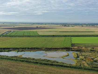 Fenland agriculture